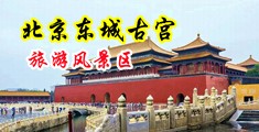大鸡巴操小逼穴骚视频骚逼大鸡巴中国北京-东城古宫旅游风景区